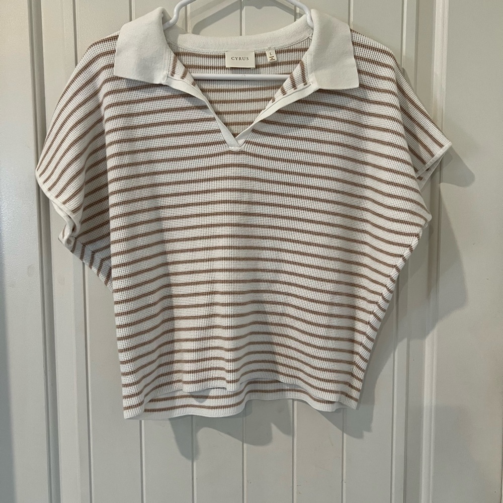 Cyrus White and Brown Striped Top